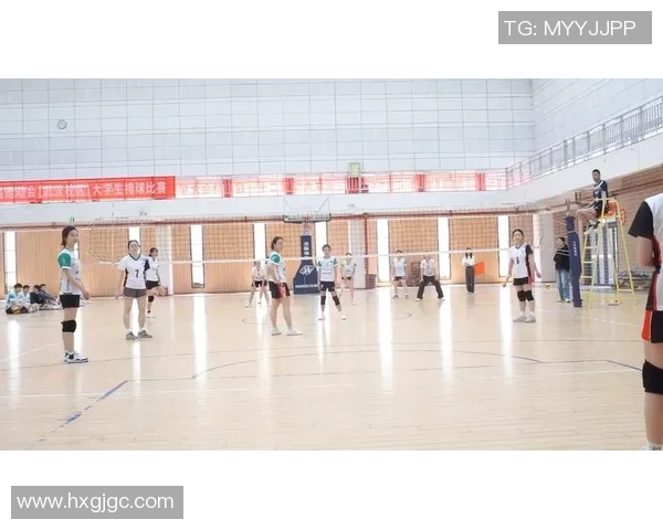 武汉排球队个人能力提升的热议与未来发展探讨